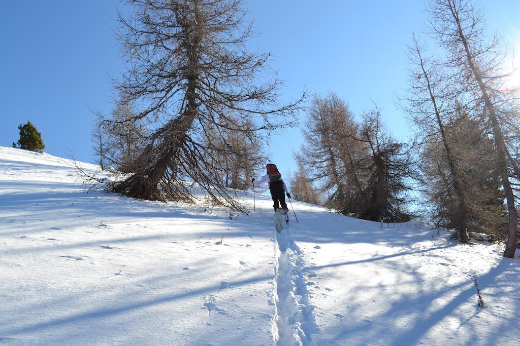 Gite Des Monges Sisteron Exterior foto