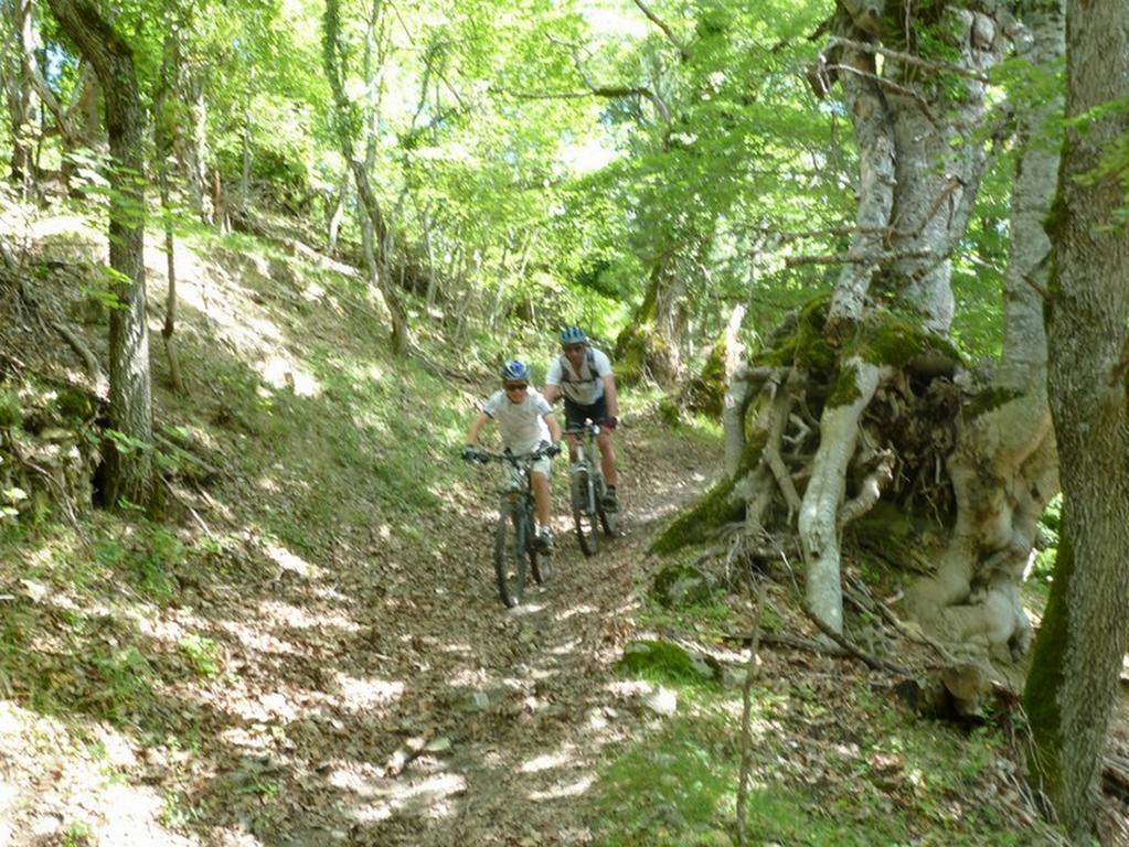 Gite Des Monges Sisteron Exterior foto