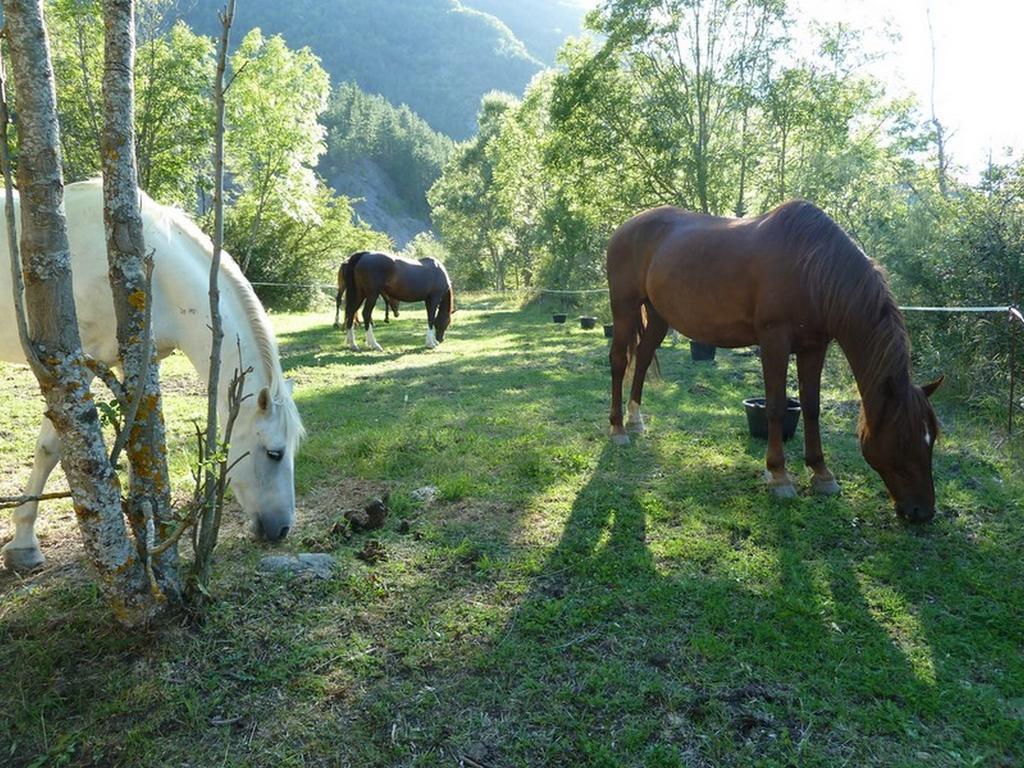 Gite Des Monges Sisteron Exterior foto